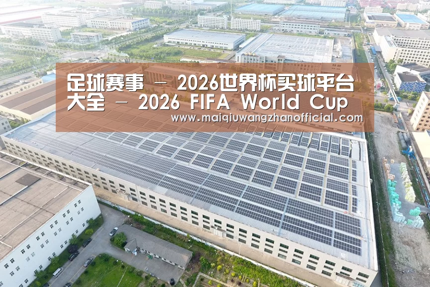 案例展示二