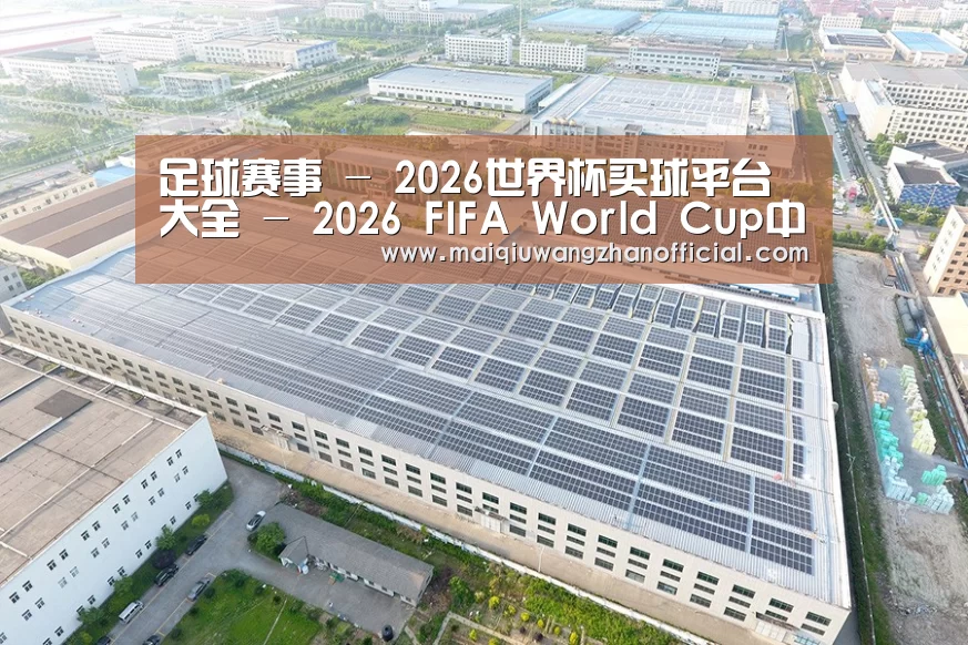 案例展示一