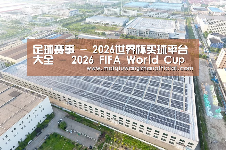 案例展示二