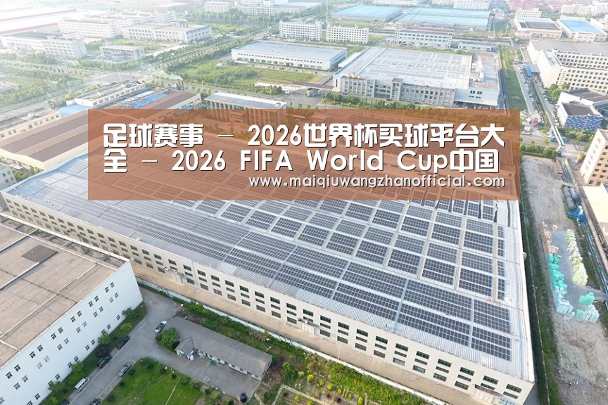案例展示三
