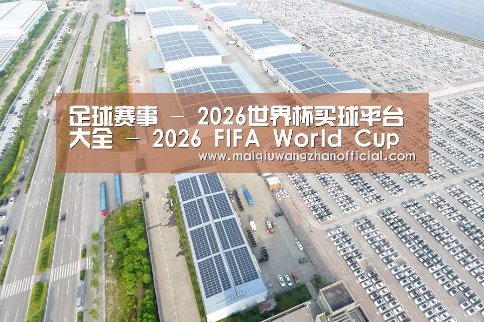 案例展示一