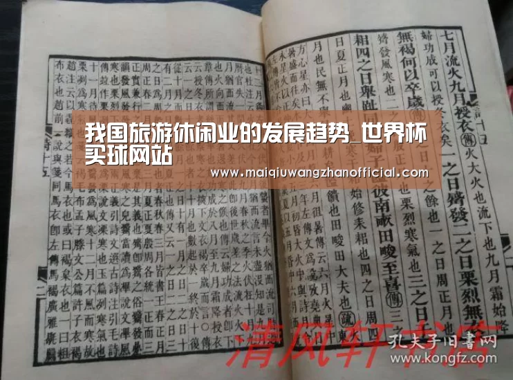 我国旅游休闲业的发展趋势_世界杯买球网站(图1) 世界杯投注