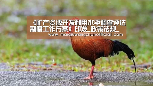 《矿产资源开发利用水平调查评估制度工作方案》印发_政策法规_新闻_矿道网‘世界杯外围买球’(图1) 世界杯外围买球