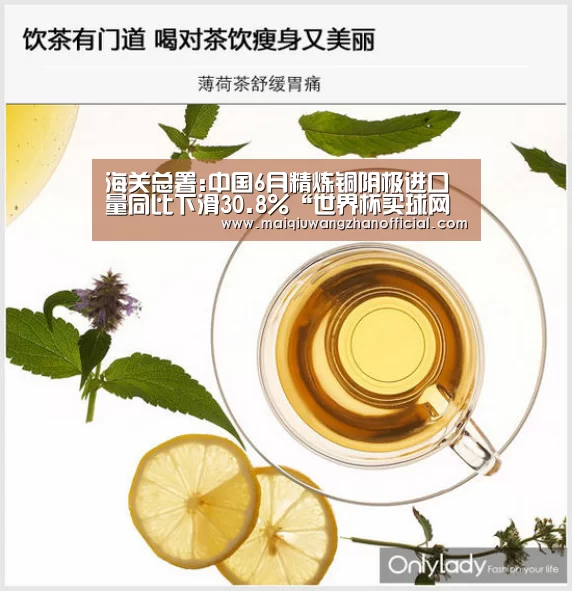 海关总署:中国6月精炼铜阴极进口量同比下滑30.8%“世界杯买球网站”(图1) 世界杯投注