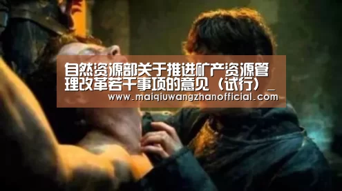 自然资源部关于推进矿产资源管理改革若干事项的意见(试行)_政策法规_新闻_矿道网【世界杯买球网站】(图2) 世界杯买球网站官网