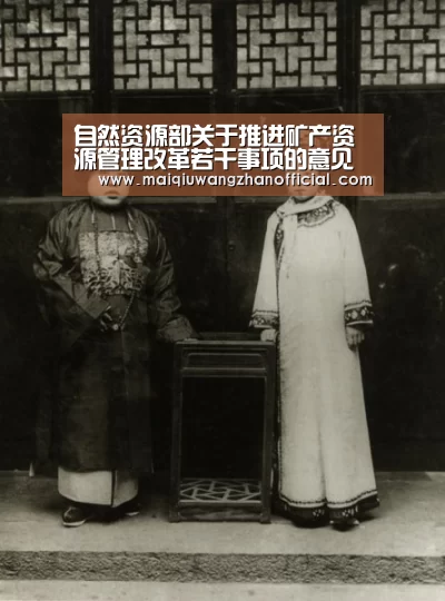 自然资源部关于推进矿产资源管理改革若干事项的意见(试行)_政策法规_新闻_矿道网【世界杯买球网站】(图4) 世界杯投注
