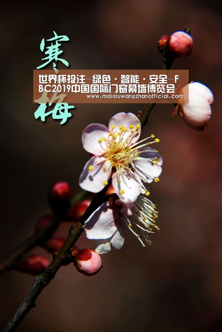 世界杯投注-绿色·智能·安全-FBC2019中国国际门窗幕墙博览会亮点全揭秘(图2) 世界杯买球网站